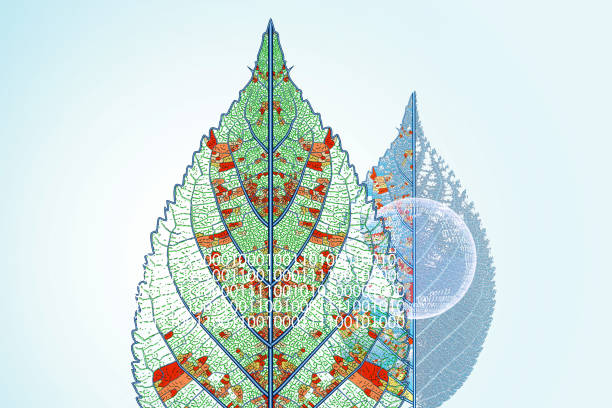 Global warming begins with carbon dioxideThe plant's ecosystem is destroyed, and the leaf withers.