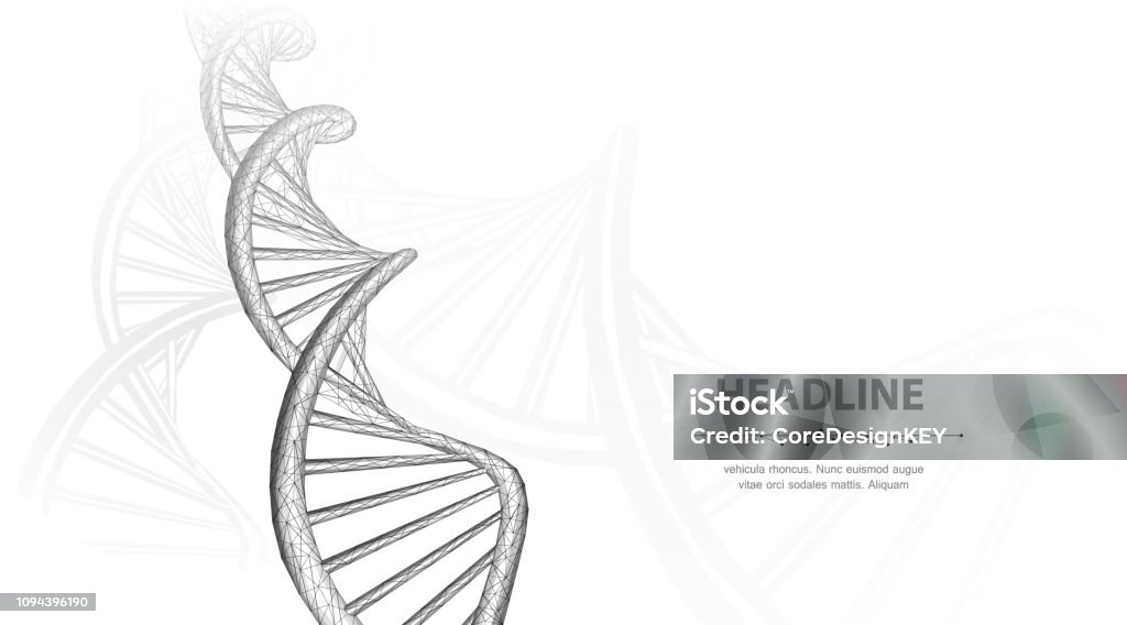 DNA. Abstract 3d polygonal wireframe dna molecule helix spiral on white background. Medical science, genetic biotechnology, chemistry biology, gene cell concept vector illustration or background DNA stock vector