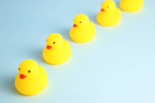 istock Row of yellow rubber ducks, leadership concept 1094401092