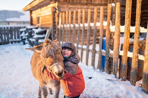 The cute elementary age boy is hugging the donkey. He is happy and smiling. Shooting on winter sunset at a backyard of rural cottage