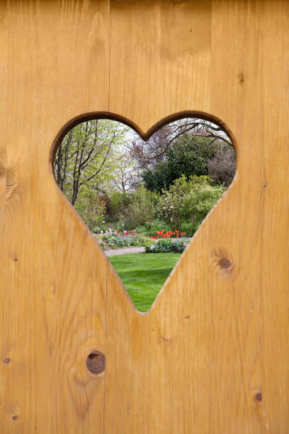 istock Spring scene throughout heart-shaped hole on a wood door 1094410458