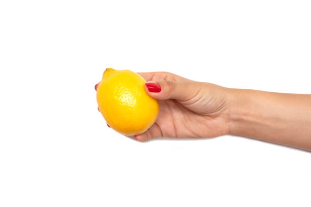 istock Seasonal fruit and vegetables 1094415216