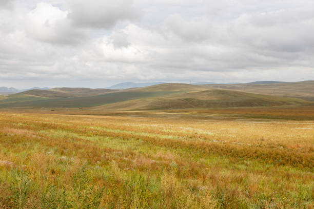 istock Mongolian steppe on the background of a cloudy sky 1094415308