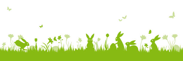 Easter scene banner isolated vector illustration Easter banner. Vector illustration with easter bunnies, flowers, butterflies and eggs on a meadow. Isolated on white. easter vector holiday design element stock illustrations