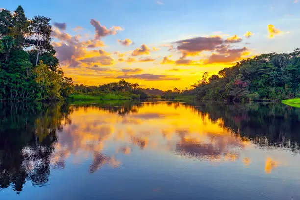 A magic sunset in the Amazon Rainforest inside Yasuni national park. The Amazon rainforest and its tributaries comprise the countries of Ecuador, Peru, Bolivia, Brazil, Colombia, Suriname, Venezuela, Guyana and French Guyana.