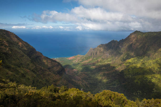 istock Na Pali Coast View from Kalalau Lookout 1094420944