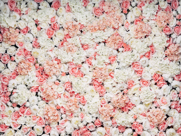 foto de parede floral - bed of roses fotos - fotografias e filmes do acervo