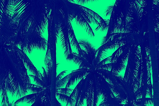 Patern of palm tree and green design