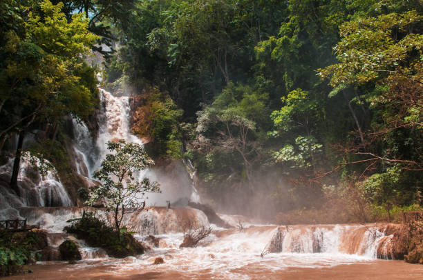 chute d’eau de kuang si à luang prabang - kakadu photos et images de collection