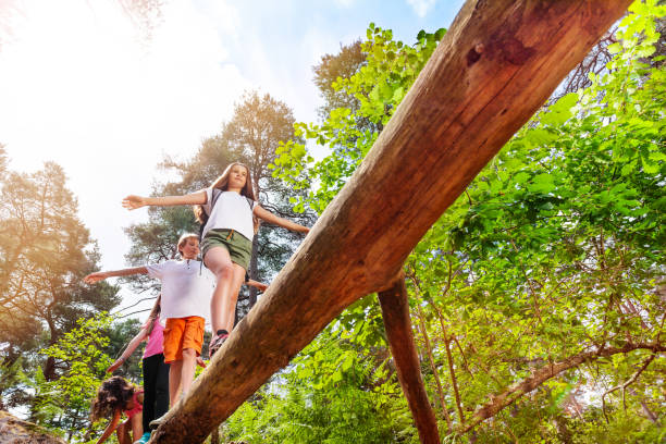 istock Group of kids walk over high log in the forest 1094443436