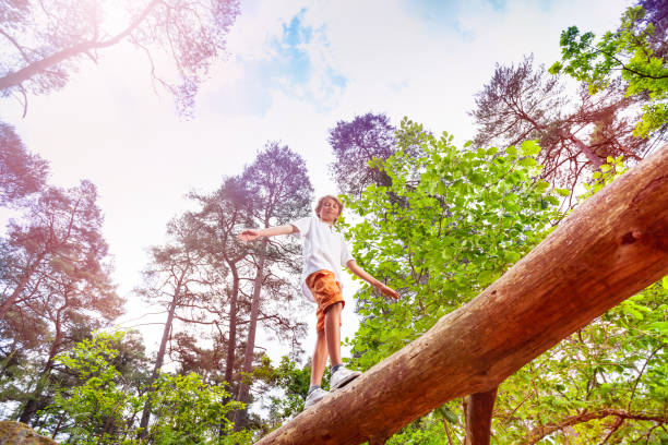 istock Boy walks over the high log in forest hold balance 1094443486