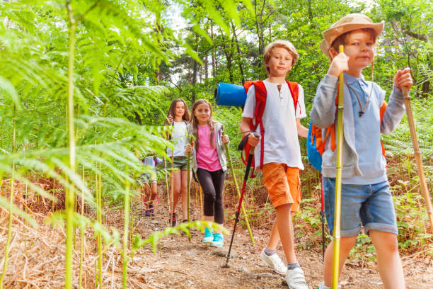 istock Kids walk with hiking poles among fern 1094443592