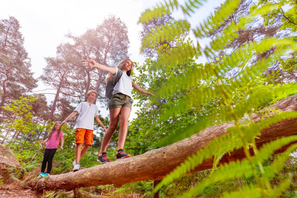istock Summer forest activity kids walk over the log 1094444796