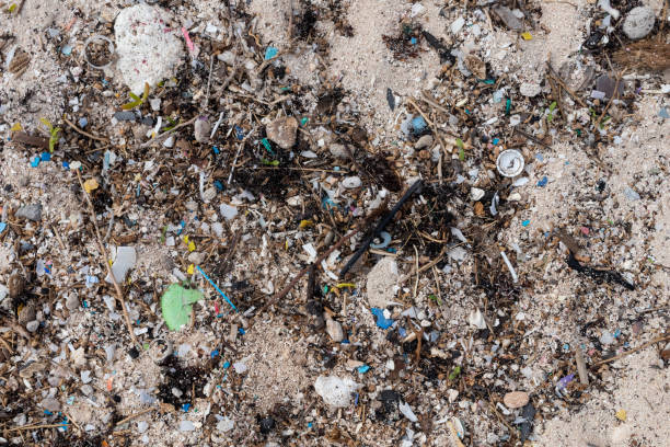 istock plastic and microplastics on a Caribbean beach transported by the current. Sea pollution 1094455174