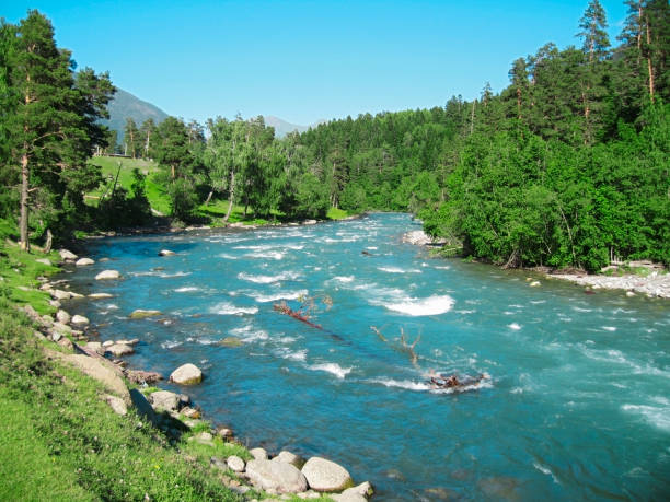 Wild caucasus river Zelenchuck. Arhyz. Cherkessia republic