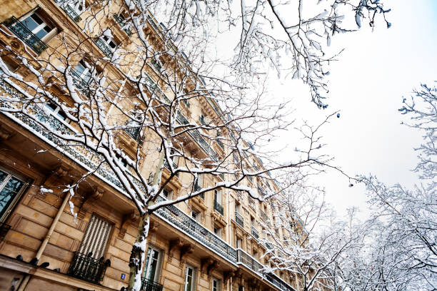 Low-angle view of snow covered trees and buildings against winter sky in Paris, France
