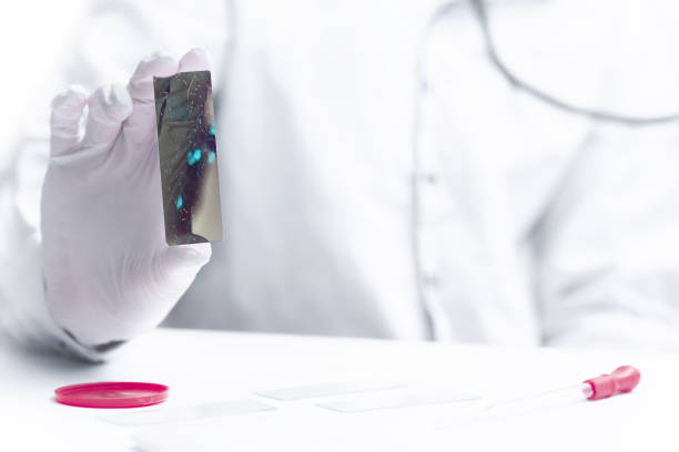 istock Clinical research in the lab 1094470180