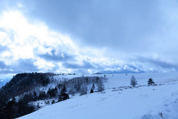 istock Winter snow of Japan 1094475650