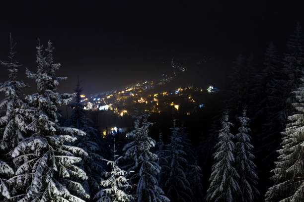 istock Night view to city from forest hills 1094476154