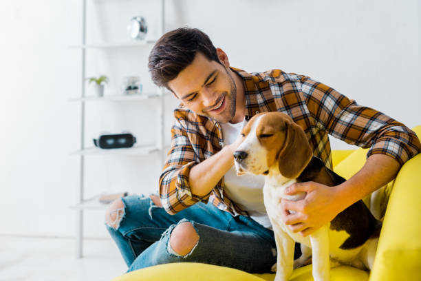 istock happy man spending time with beagle dog at home 1094476794