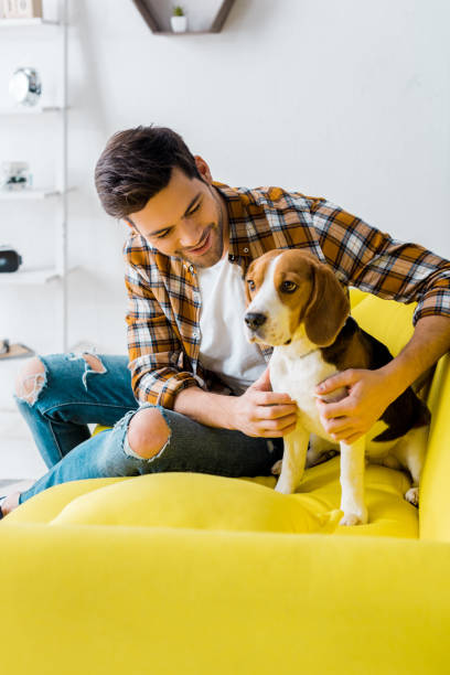 istock handsome man spending time with beagle dog on sofa at home 1094476800