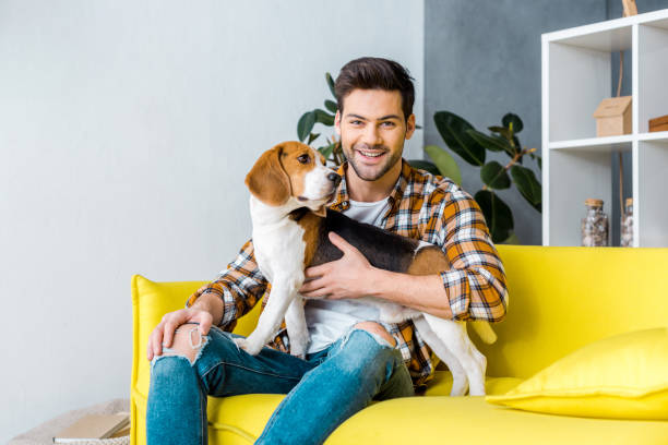 istock handsome smiling man sitting on sofa with beagle dog 1094476818