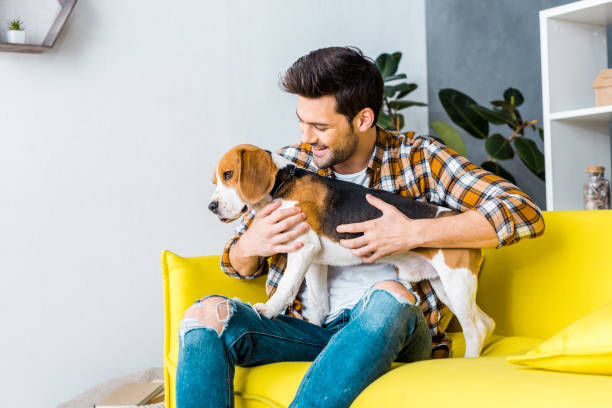 istock handsome man with beagle dog on sofa at home 1094476830