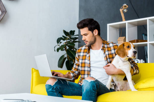 istock male freelancer working on laptop on yellow sofa with dog 1094476886