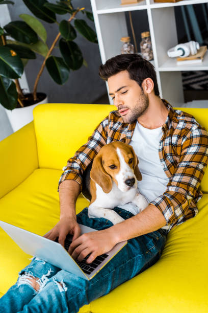 istock handsome young man using laptop on yellow sofa with dog 1094476896