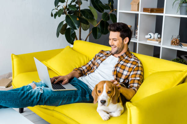 istock handsome laughing man using laptop on sofa with beagle dog 1094476898