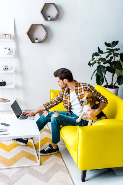 istock handsome freelancer working on laptop in living room with dog 1094476906