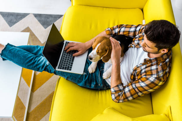 istock overhead view of man using laptop on sofa with cute dog 1094476924