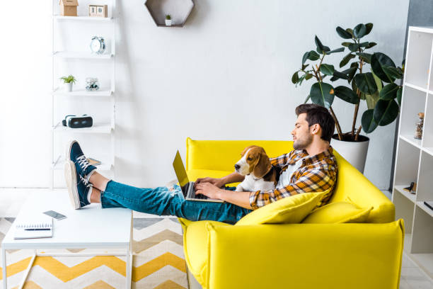 istock handsome man using laptop on yellow sofa with beagle dog in living room 1094476946