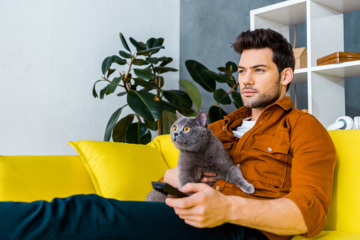 handsome man with remote control and grey cat watching tv at home