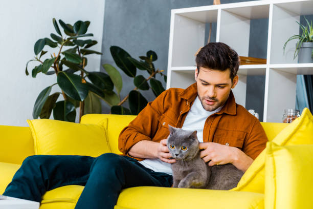istock handsome young man with cat sitting on sofa at home 1094476996