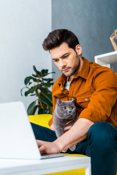 istock young man using laptop on sofa with british shorthair cat 1094477014