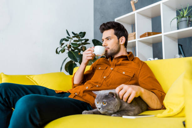 istock handsome man drinking coffee and sitting on sofa with british shorthair cat 1094477074