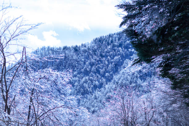 Winter snow of Japan