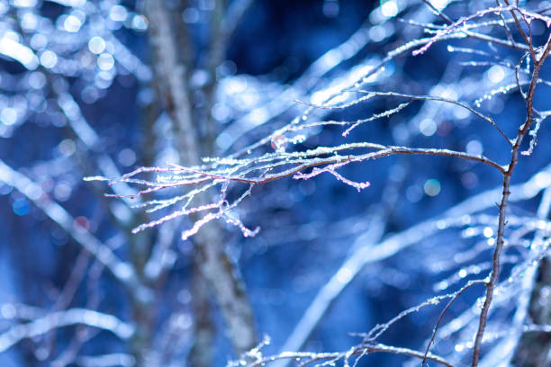 istock Winter snow of Japan 1094480642