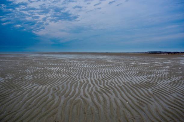 cold storage beach- dennis, cape cod - brewster foto e immagini stock