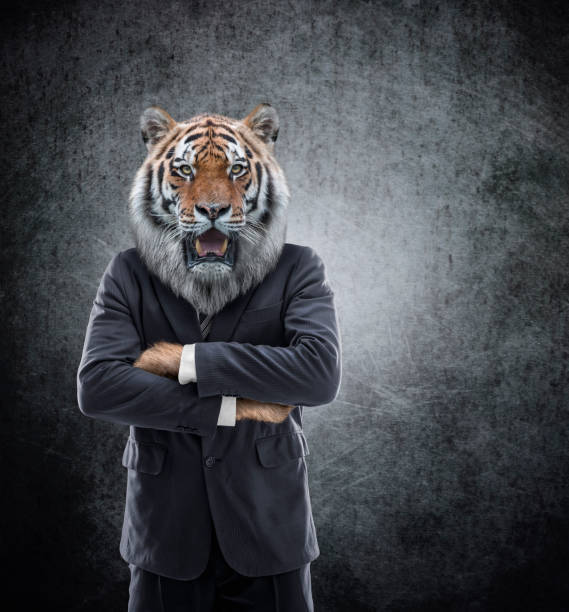 humanoïde tête de tigre sur l’homme d’affaires en costume - zoomorphic photos et images de collection