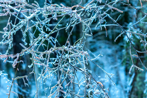 istock Winter snow of Japan 1094486752