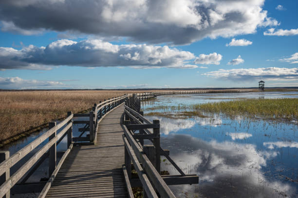 istock Wooden path to the lake. 1094489564