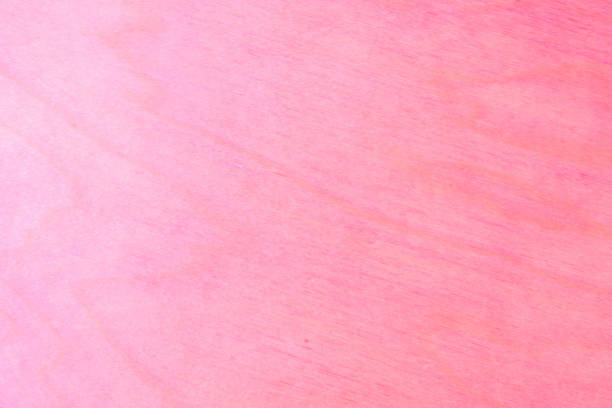 istock pink paper stucco texture background. colored cardboard fibers and grains. empty space concept. 1094490548