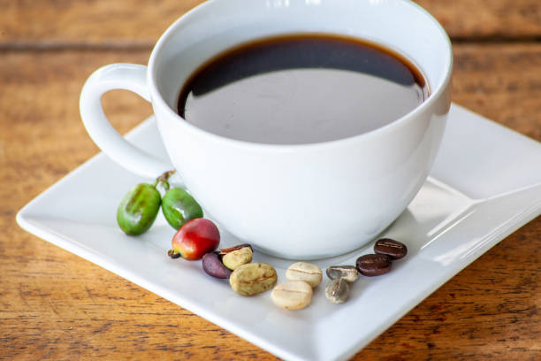 コーヒー豆のさまざまな段階でのコーヒー カップ - coffee ground bean whole ストックフォトと画像