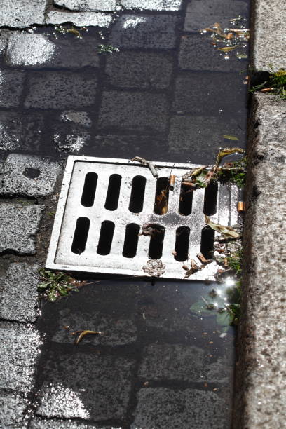 istock Sewer cover with puddle and curb 1094500260