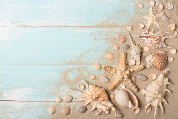 istock Starfish and seashells with sand on a wooden background. Top view with empty place for inscription 1094508406