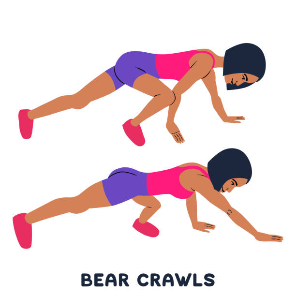kuvapankkikuvitukset aiheesta karhu ryömii. urheilua. naisen siluetteja, jotka harrastavat liikuntaa. treeniä, harjoittelua. - crawling