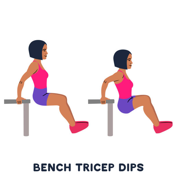 Chair. Bench triceps dips. Sport exersice. Silhouettes of woman doing exercise. Workout, training. - ilustração de arte vetorial