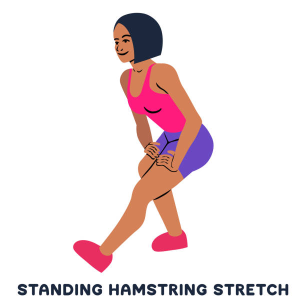 Standing hamsting stretch. Sport exersice. Silhouettes of woman doing exercise. Workout, training. - ilustração de arte vetorial